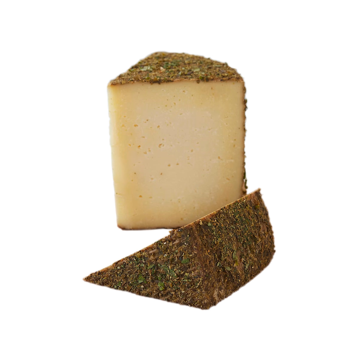 Mitica Wooly Wooly Honey Oregano