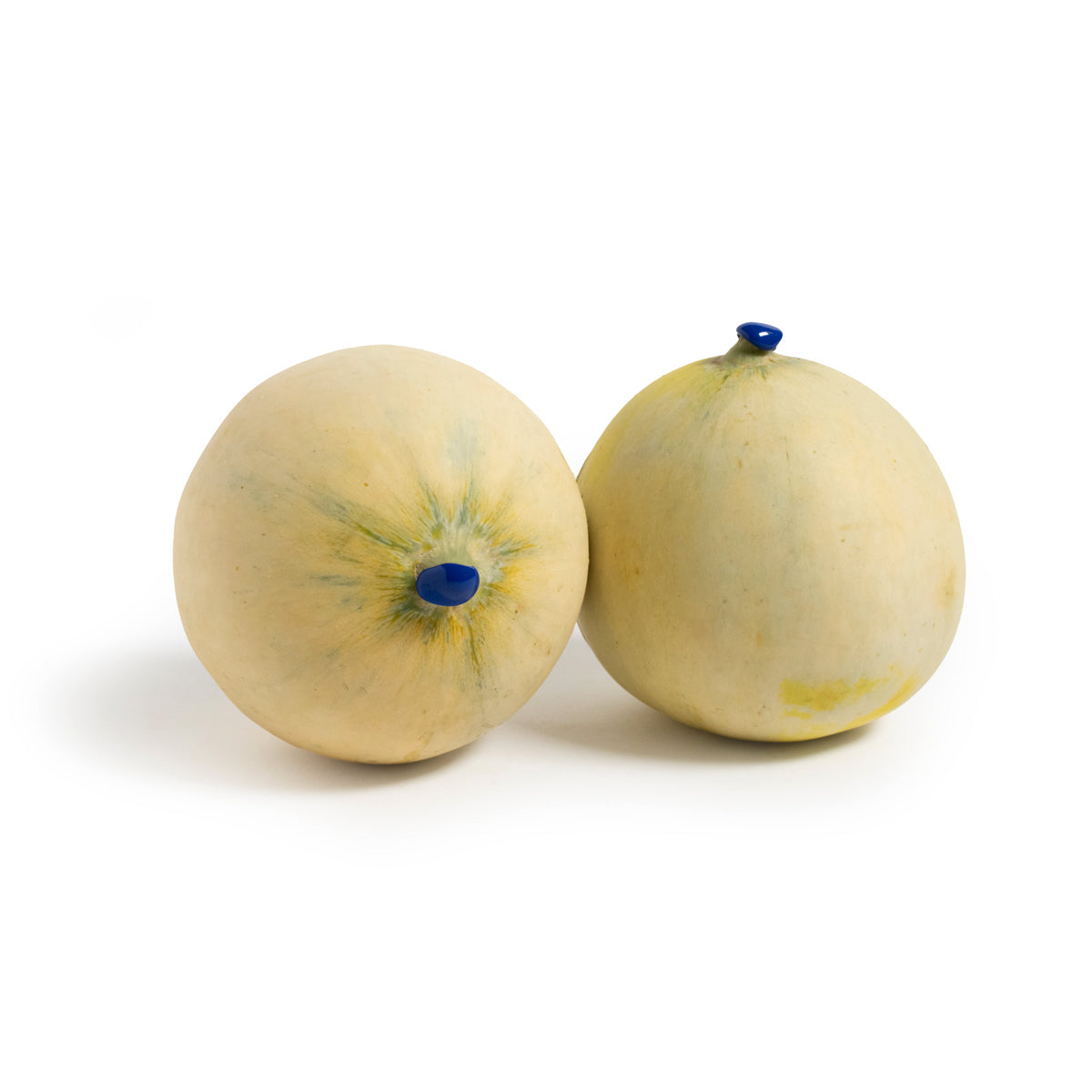 Italian Honey Moon Melons