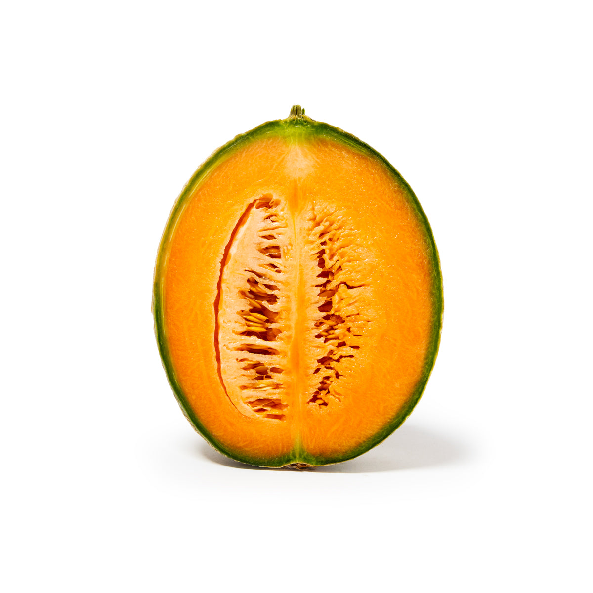 Italian Retato Classico Cantaloupe