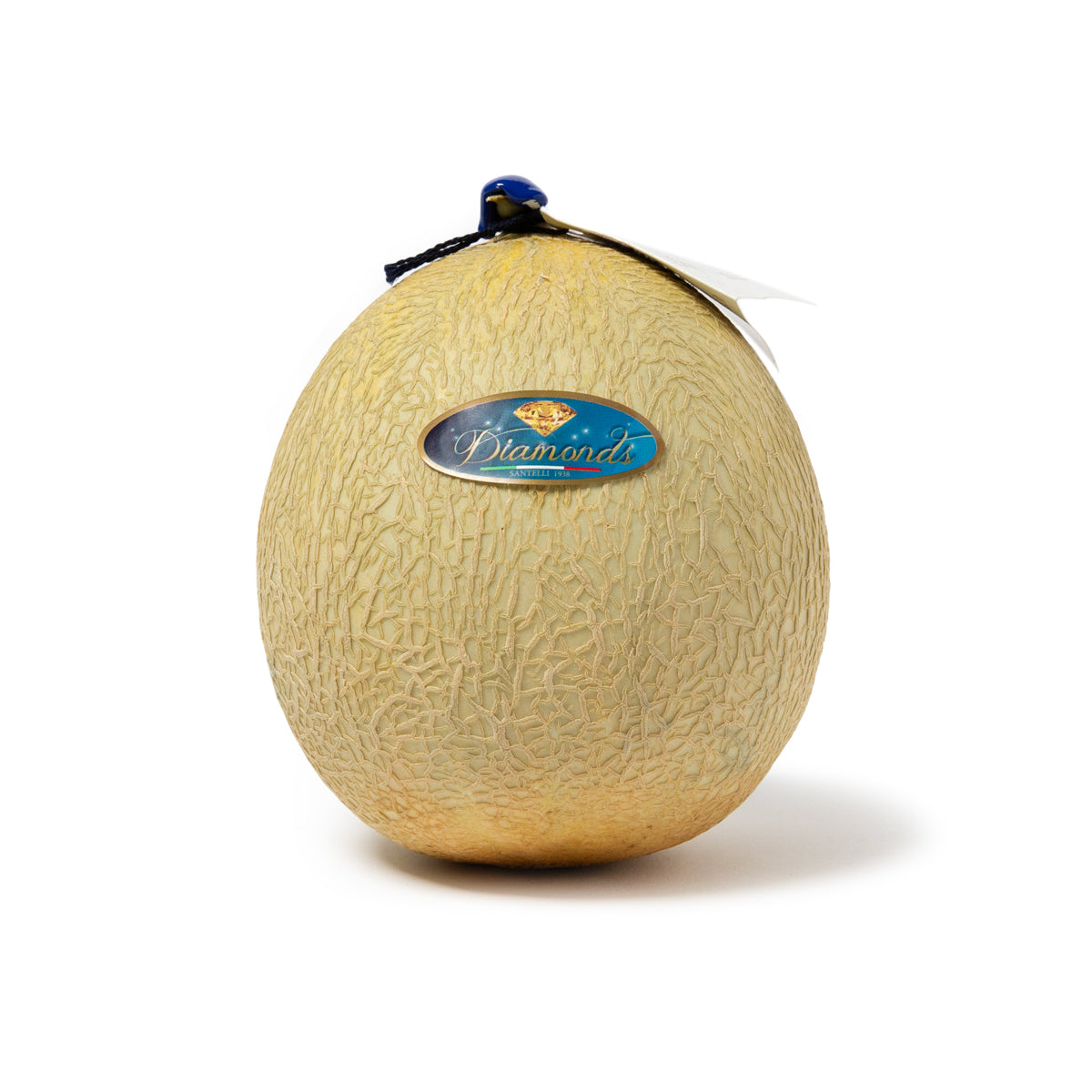 Italian Pixelato Supremo Cantaloupe