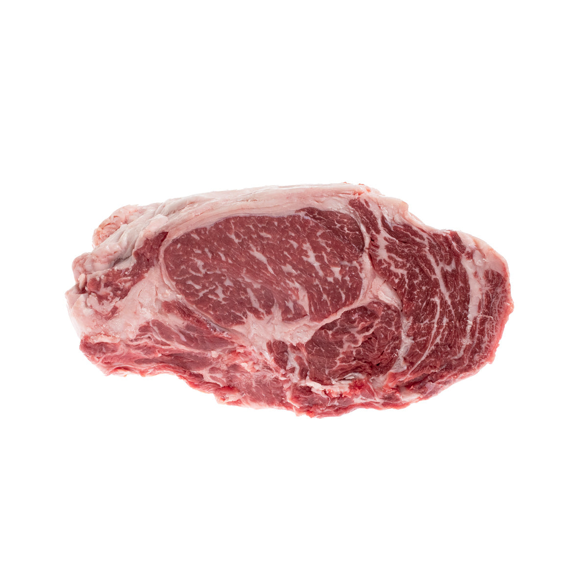 Prime 109 Rib