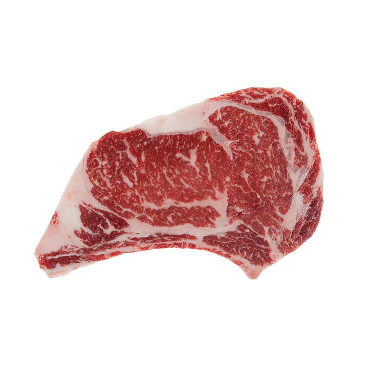 High Choice Bone In Rib Steak 16oz