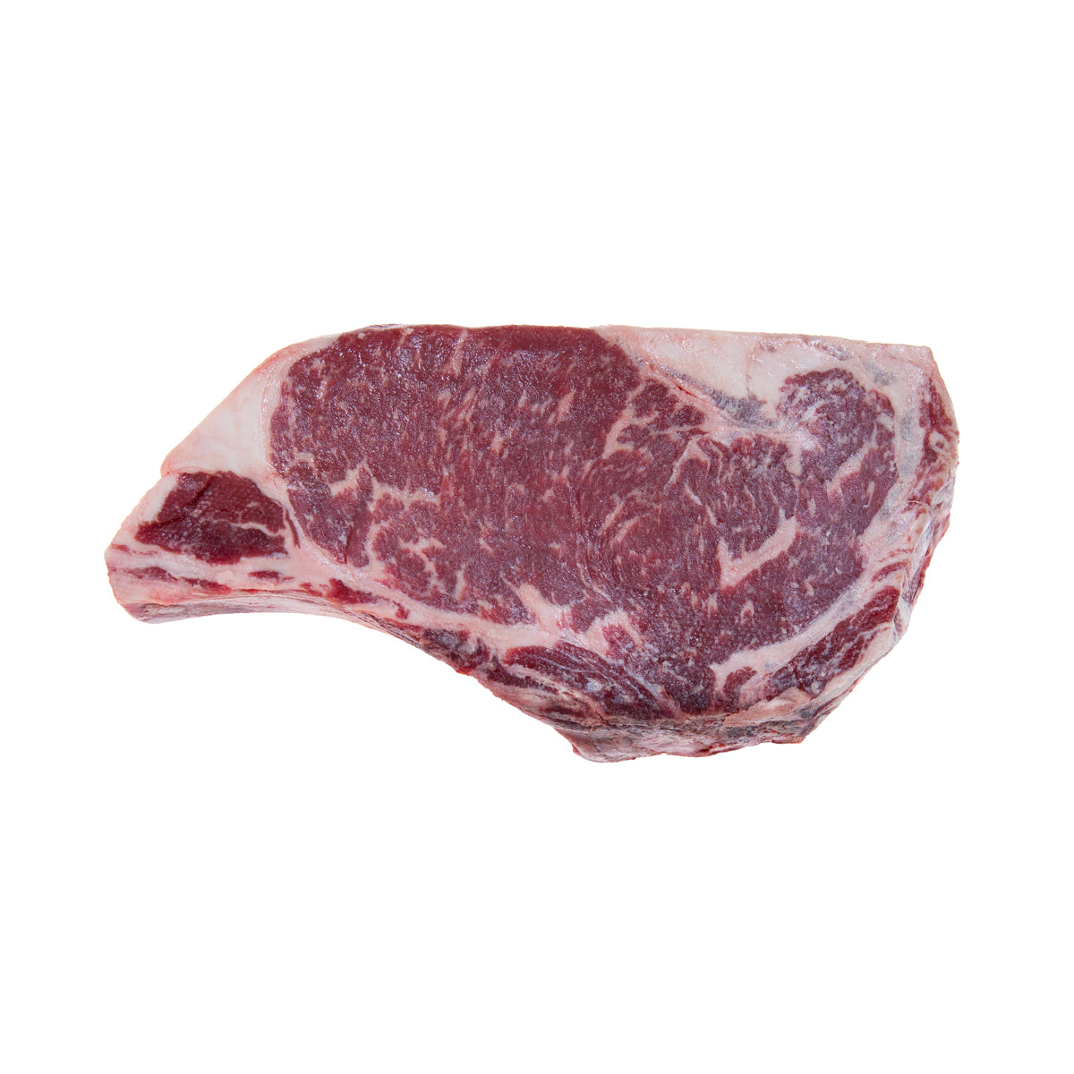 High Choice Dry Aged Bone In Rib Steak 20oz