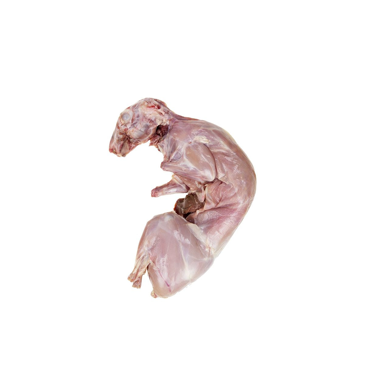 Frozen Whole Fryer Rabbit
