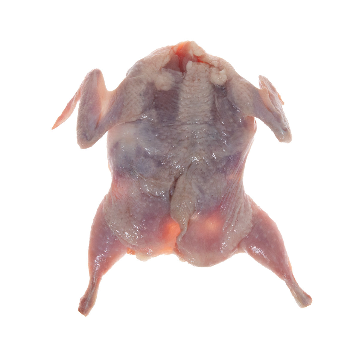 Frozen Semi Boneless Quail