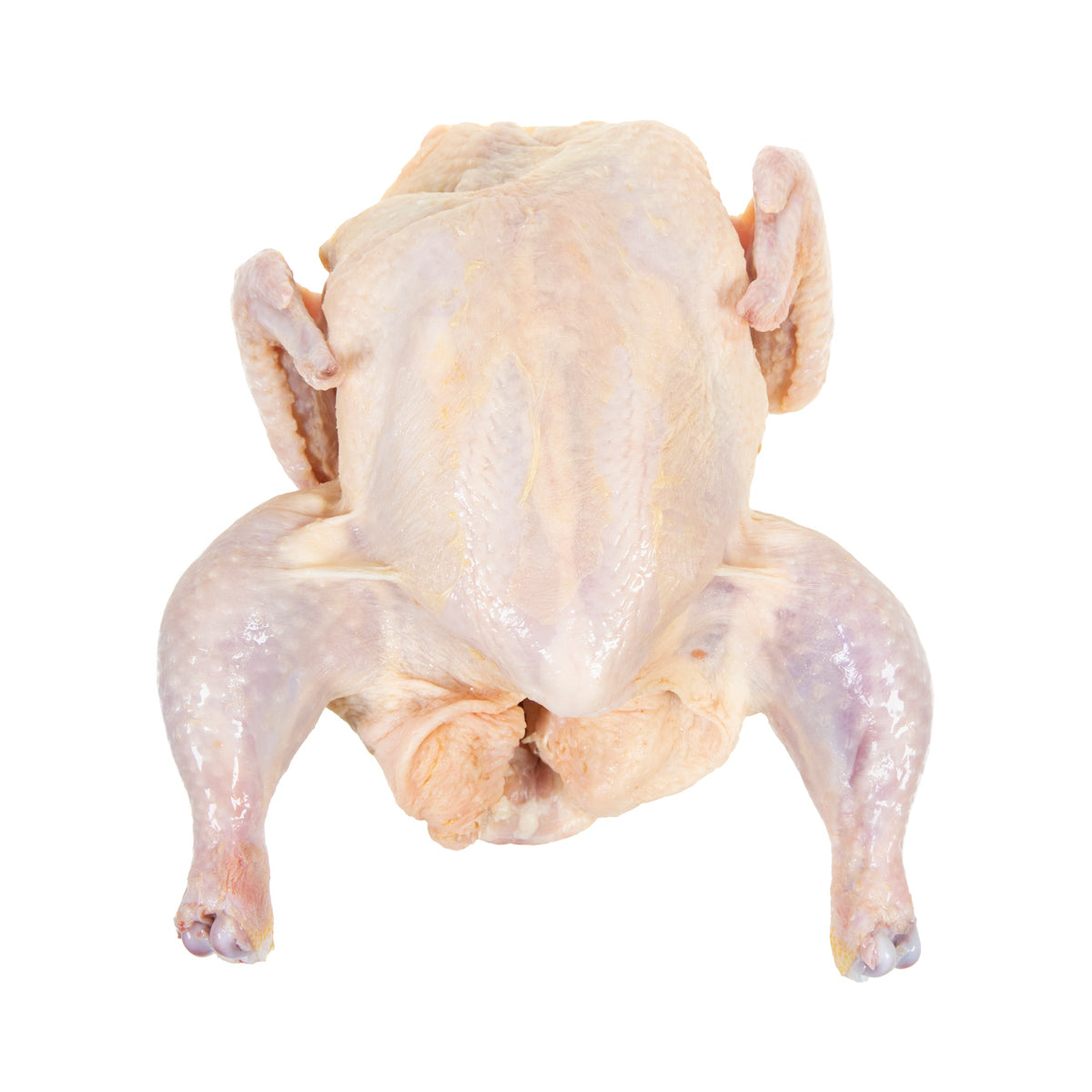 ABF Whole Chicken No Giblets 2.5 LB
