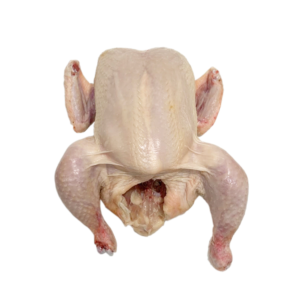 Air Chilled Whole Chickens Retail Ready