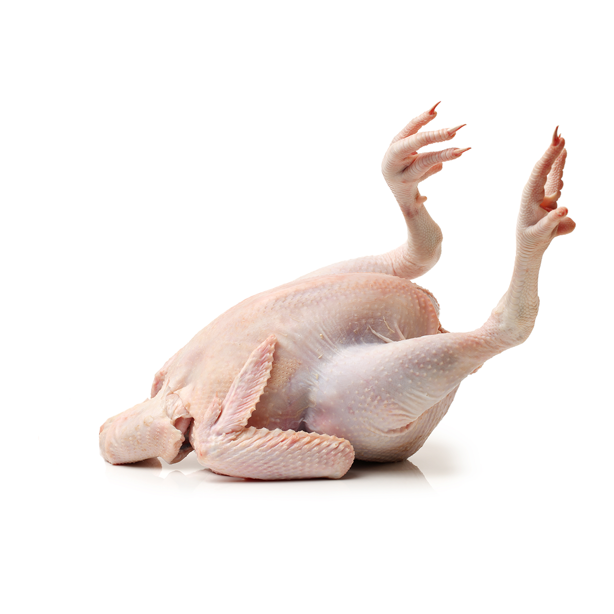 ABF Halal Whole Chicken Neck and Feet On