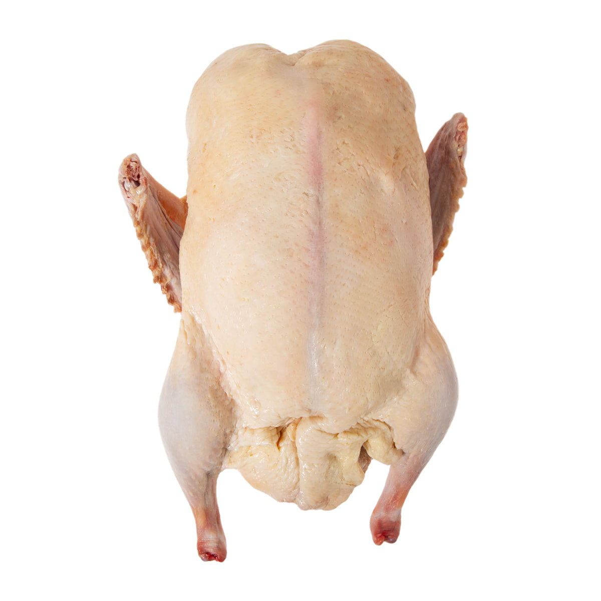 Whole Ducks
