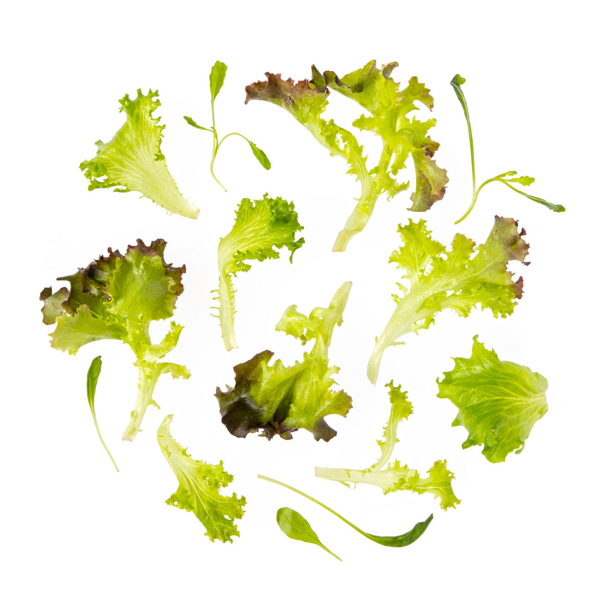 Mesclun Spring Mix