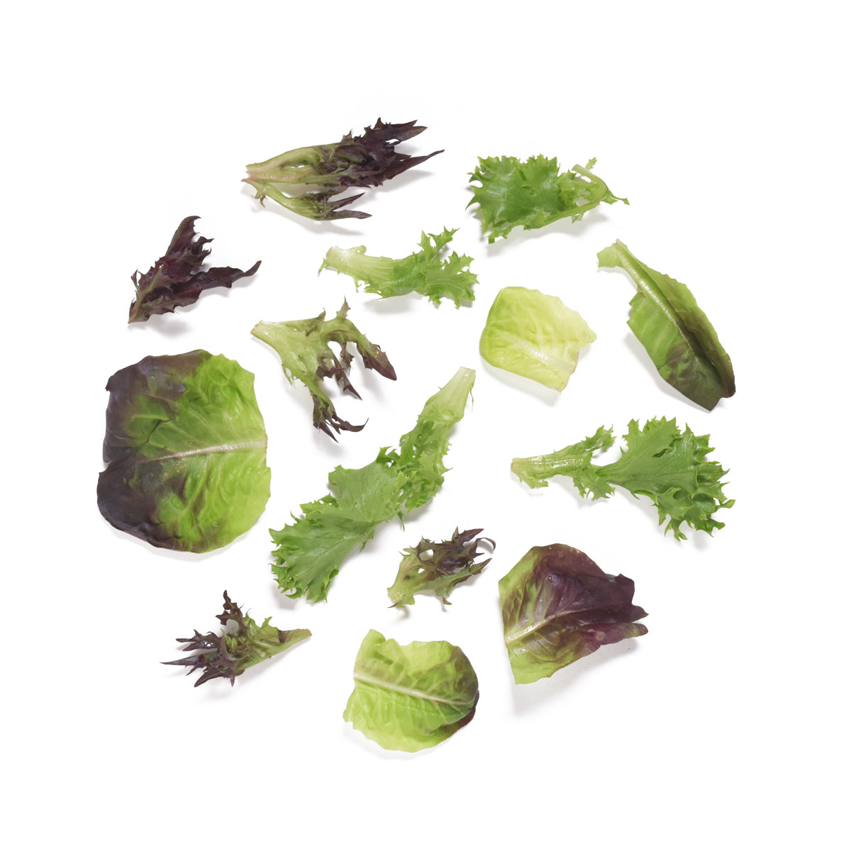 Ruby Arcadian Harvest Salad Mix