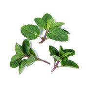 Black Currant Mint