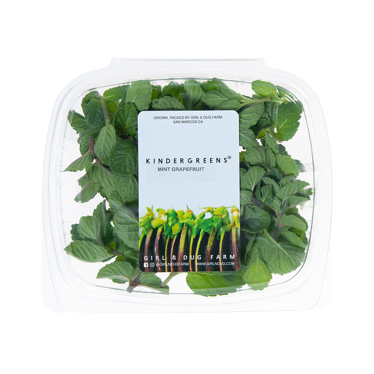 Grapefruit Mint