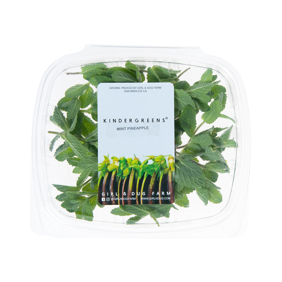 Pineapple Mint