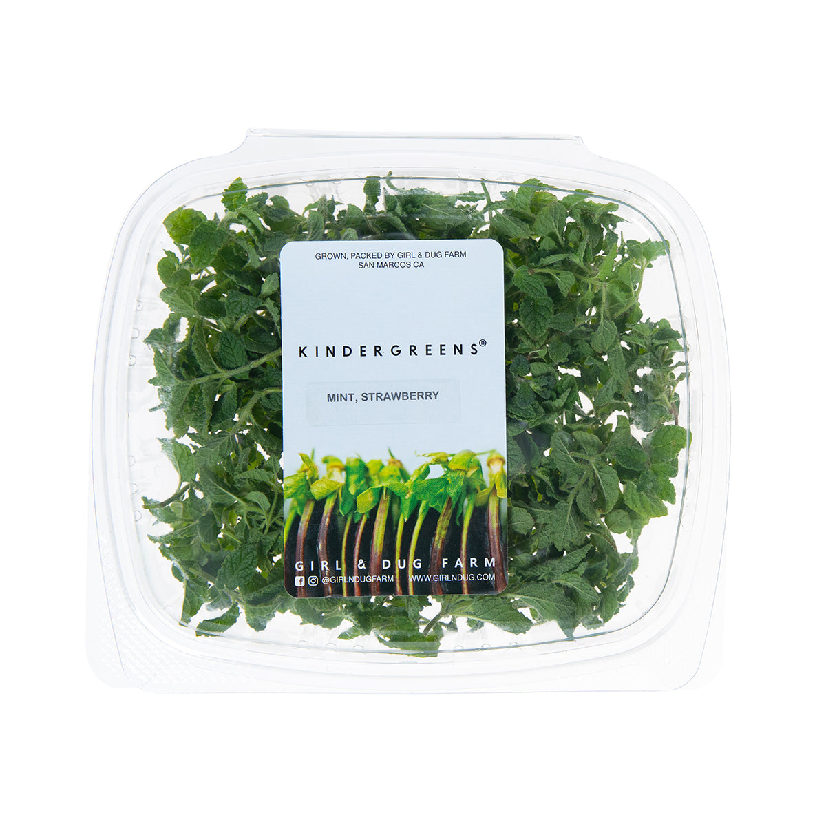 Strawberry Mint