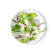 Micro Mirepoix Mix