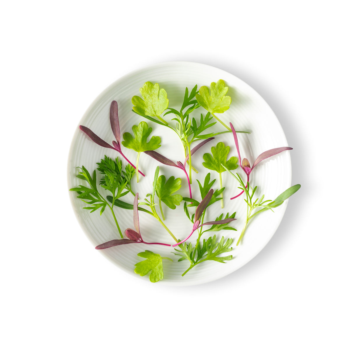 Micro Mirepoix Mix