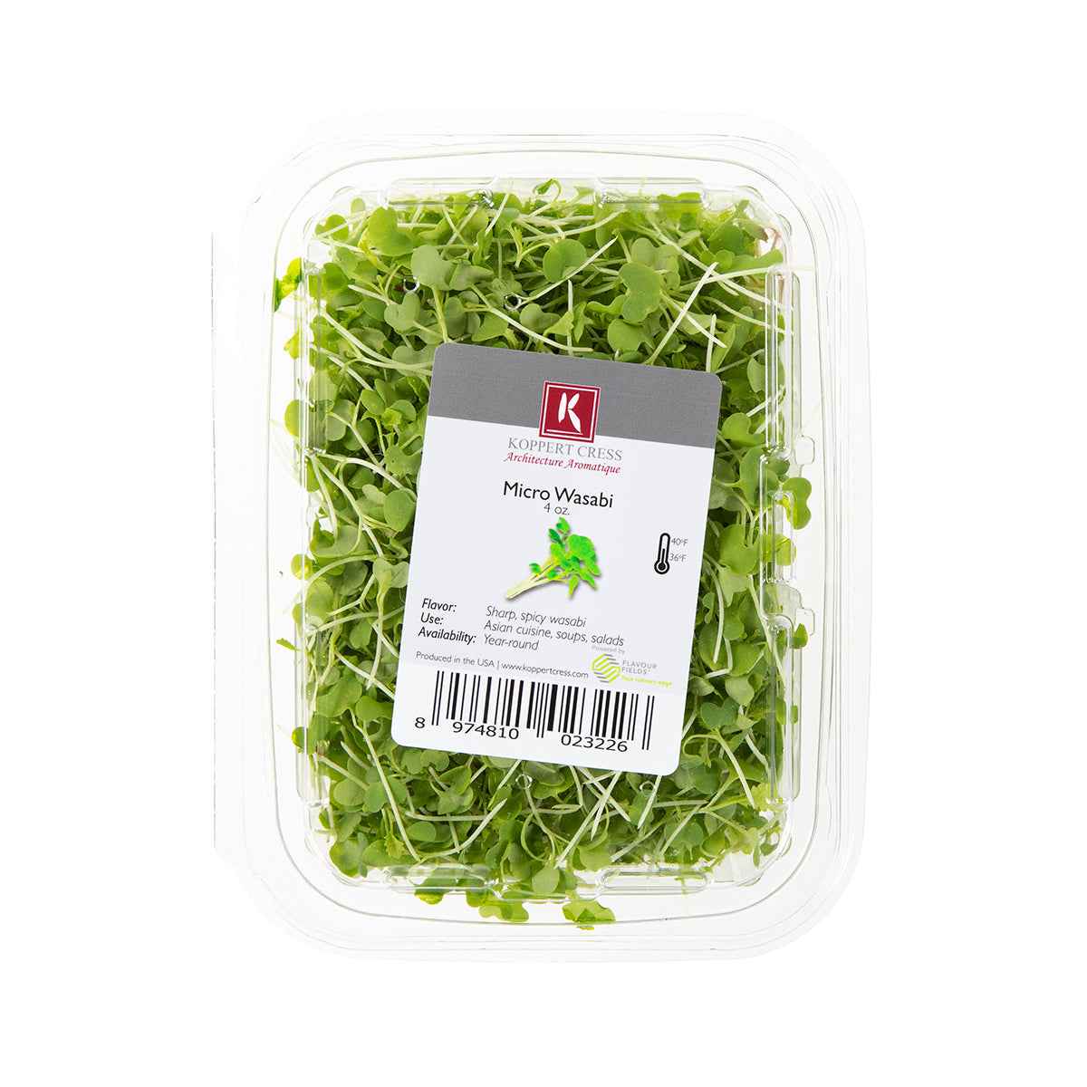Micro Wasabi