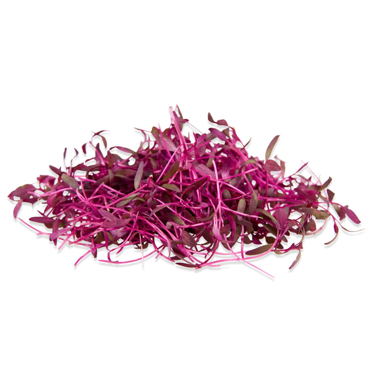 Micro Amaranth