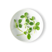 Micro Pea Greens