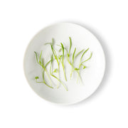 Micro Dill