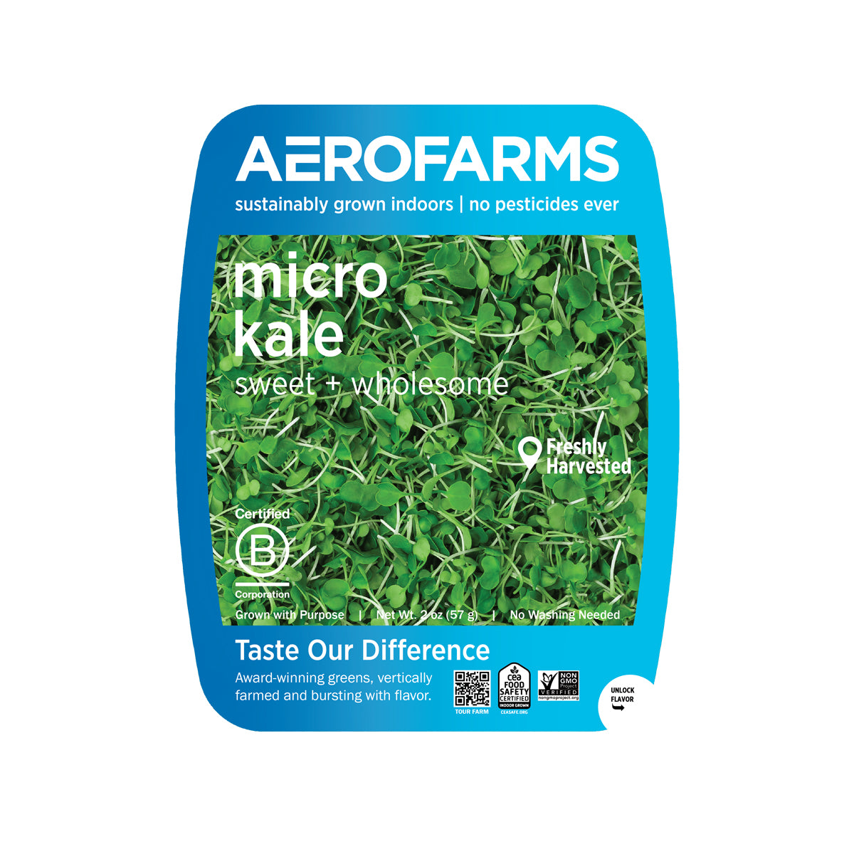 Micro Kale