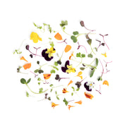 Micro Celebration Mix