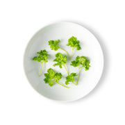 Micro Chervil