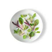 Micro Citrus Mix