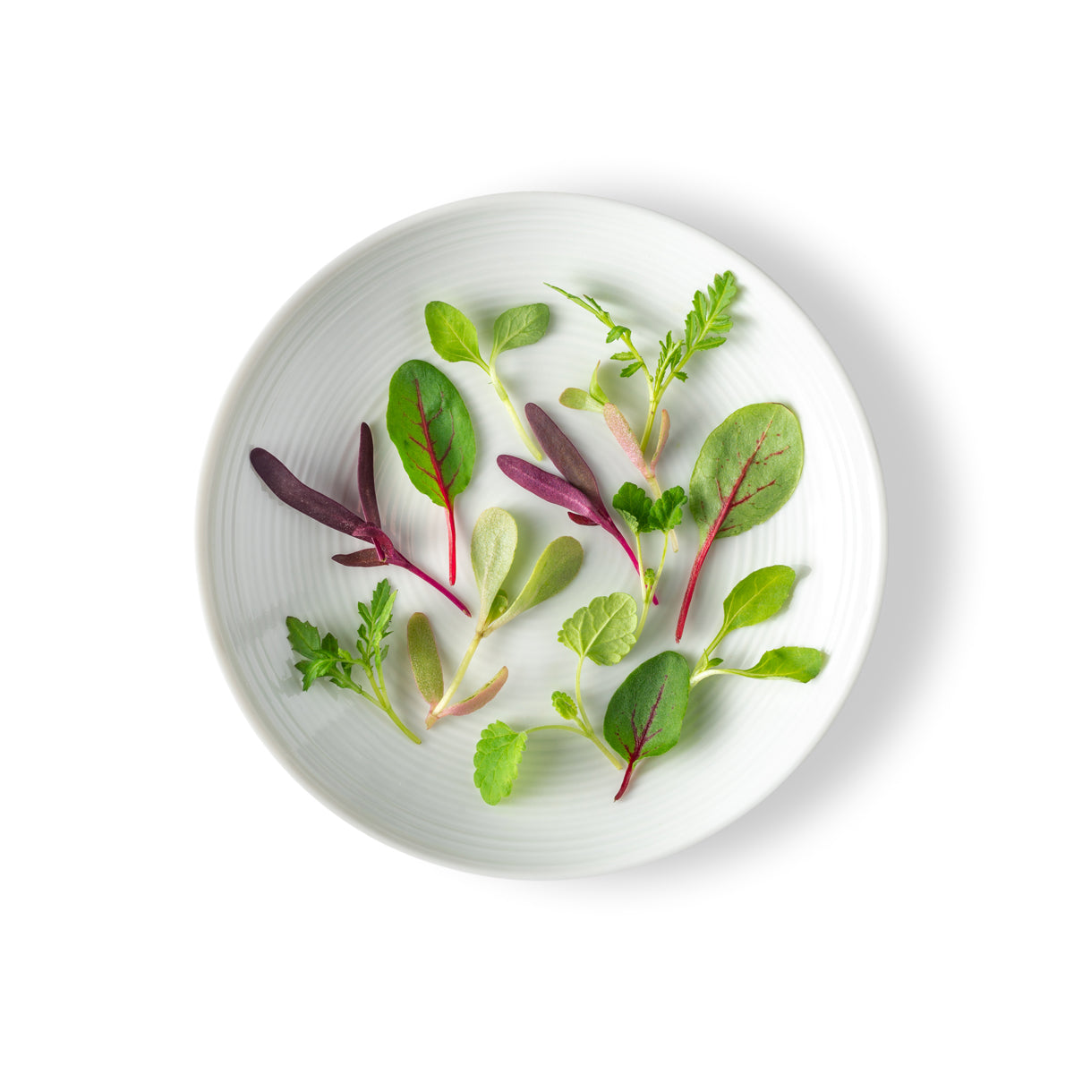 Micro Citrus Mix
