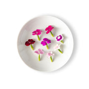 Micro Dianthus Flowers