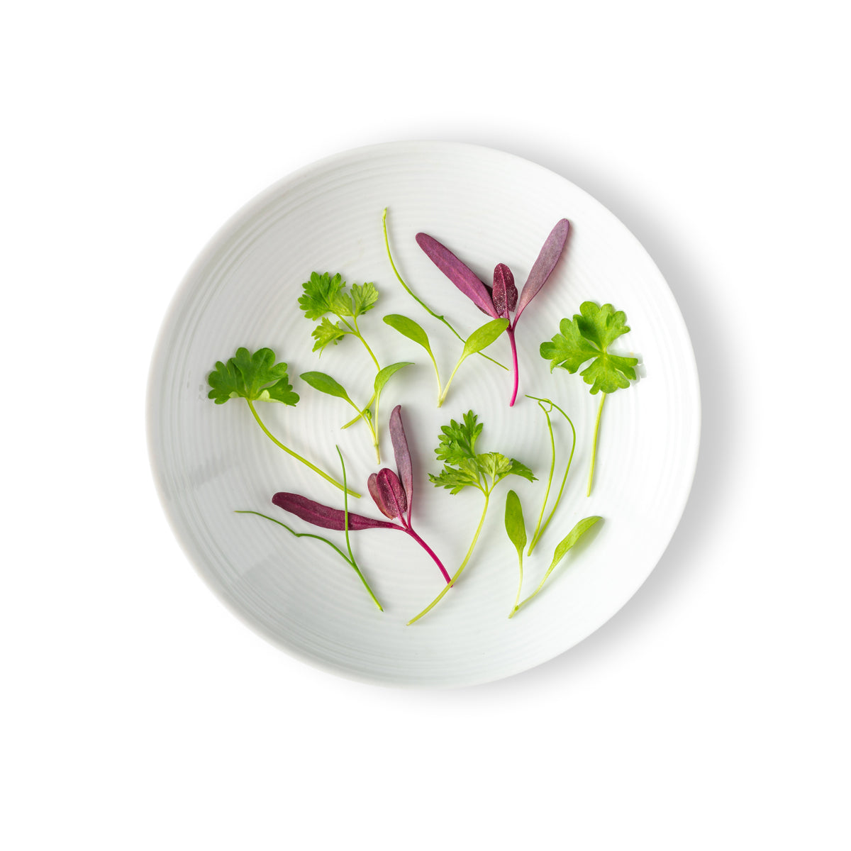 Micro Fines Herbs Mix