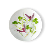 Micro Fines Herbs Mix