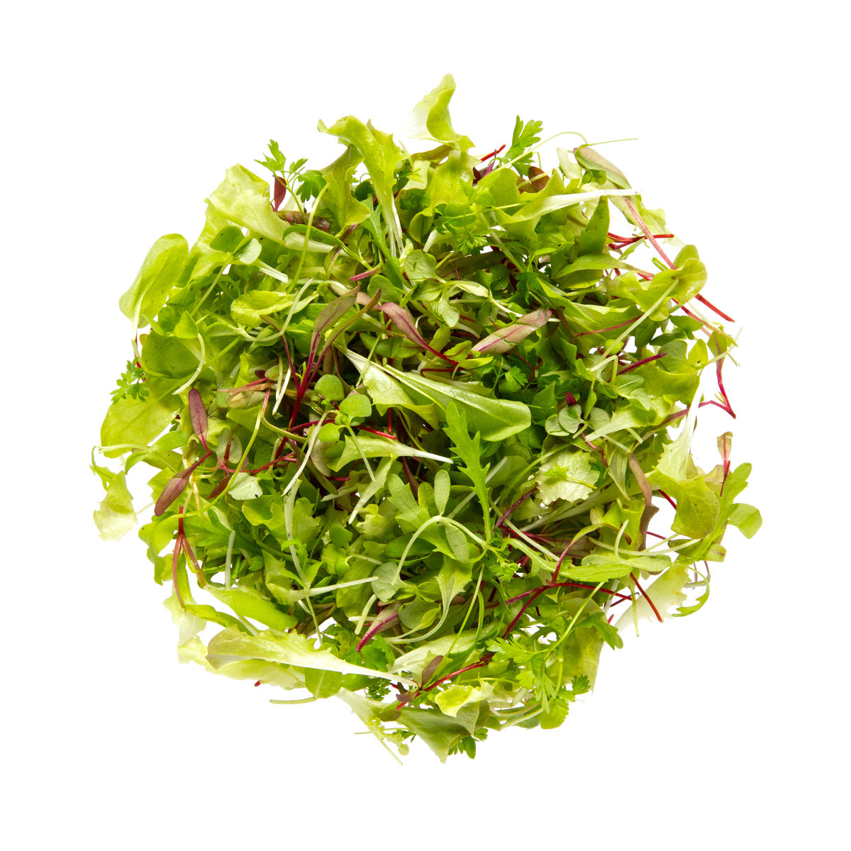 Organic Micro Citrus Blend