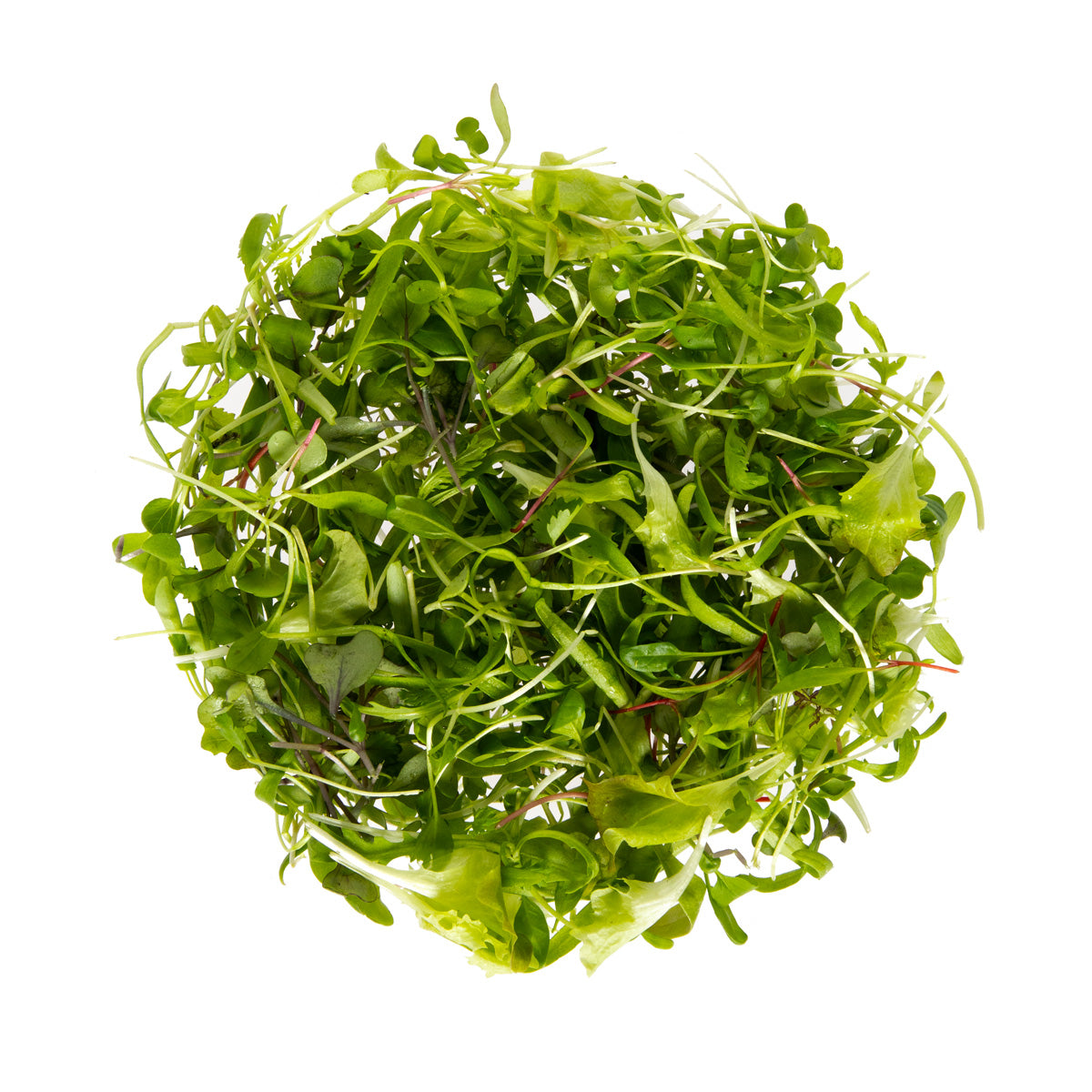Organic Micro Pete's Super Green Blend