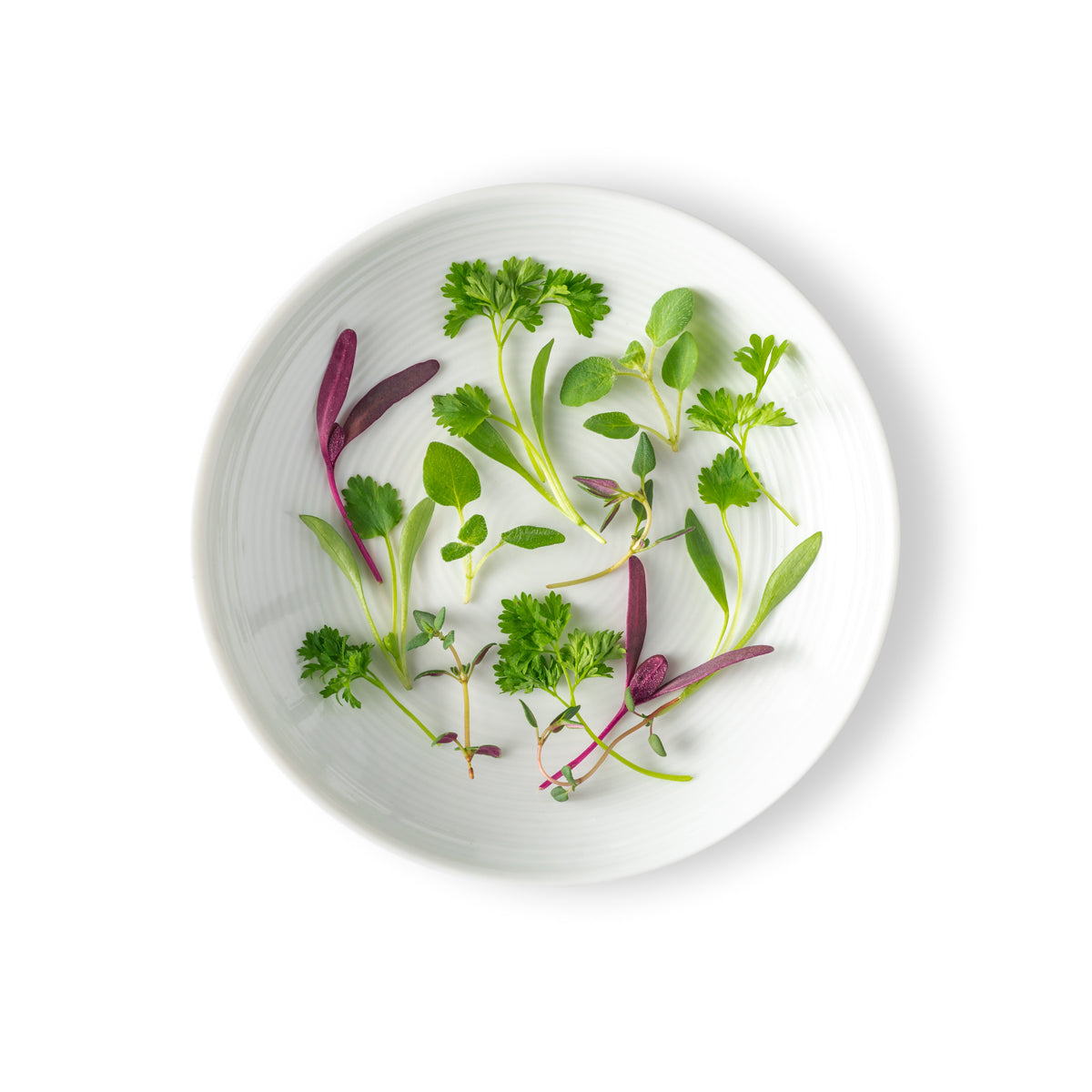 Micro Herbs Mix