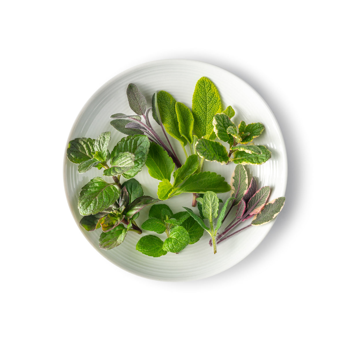 Herb Tops Mix