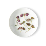 Micro Red Shiso