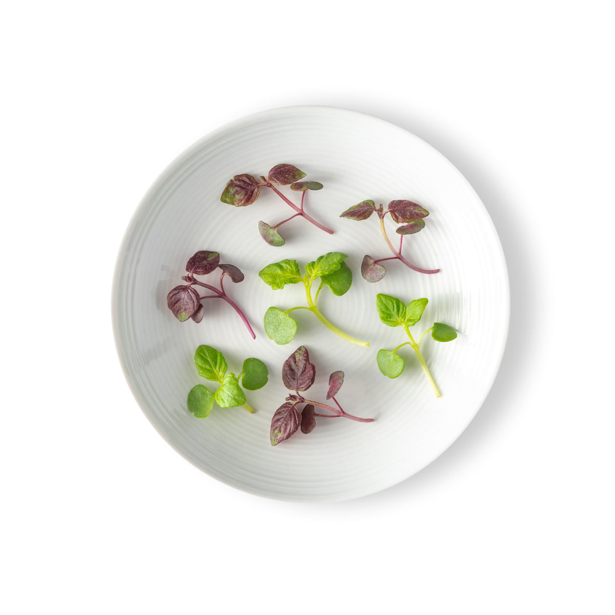 Micro Shiso Mix