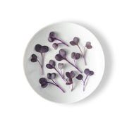 Micro Radish Ruby