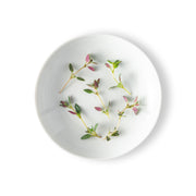 Micro Thyme