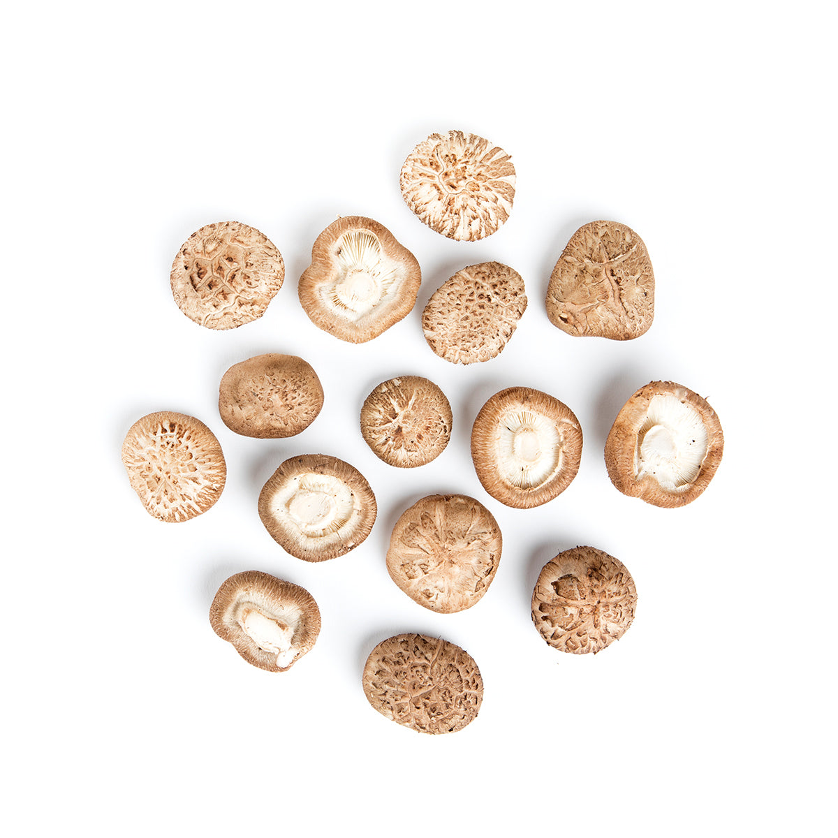 Oakwood Shiitake Mushrooms