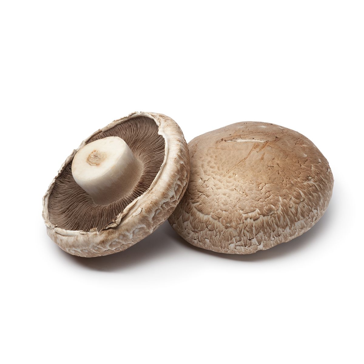Large Portobello Mushrooms