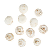 #2 Grade White Mushroom Food Service