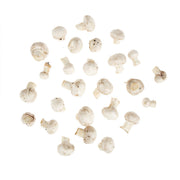 #1 Grade Baby White Button Mushrooms