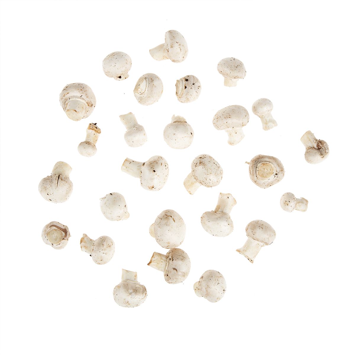 #1 Grade Baby White Button Mushrooms