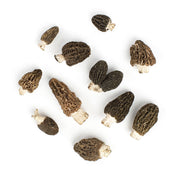 Black Conica Morel Mushrooms