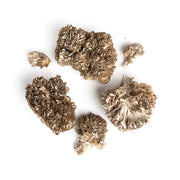Maitake Mushrooms