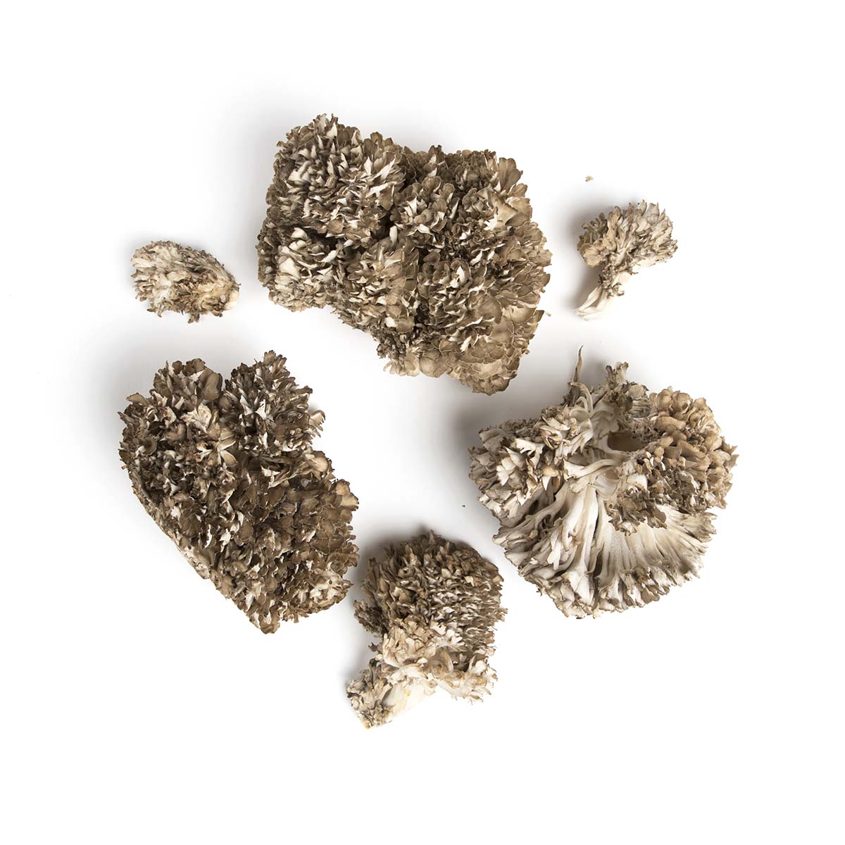 Maitake Mushrooms