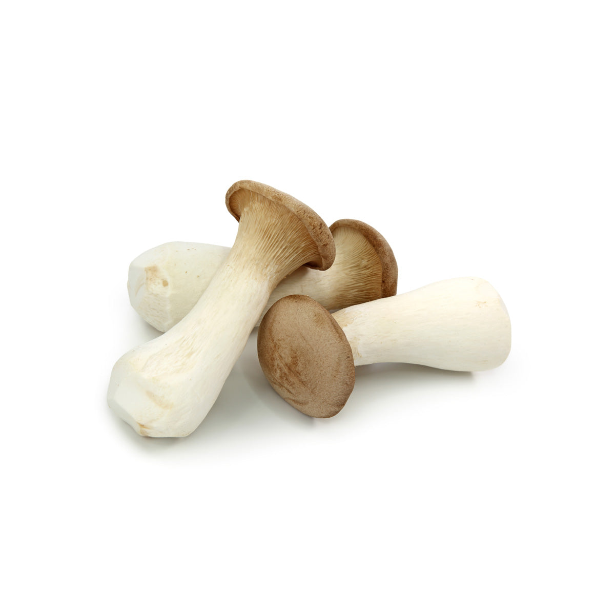King Trumpet Mushrooms